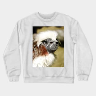 Cotton-top Tamarin Crewneck Sweatshirt